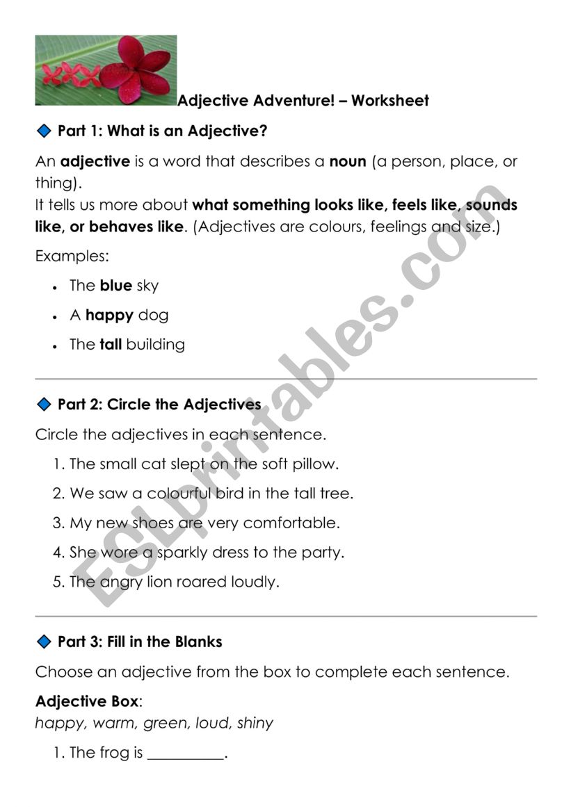 Adjectives worksheet