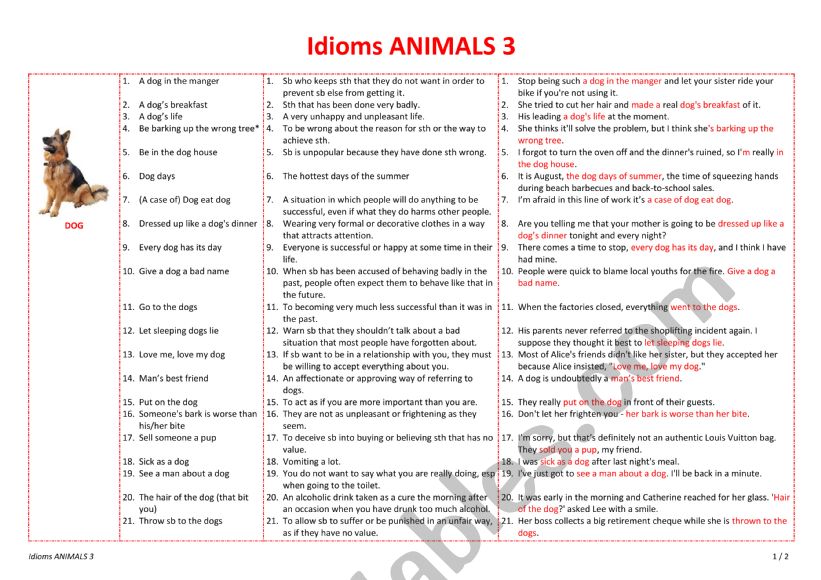Idioms ANIMALS 3 worksheet