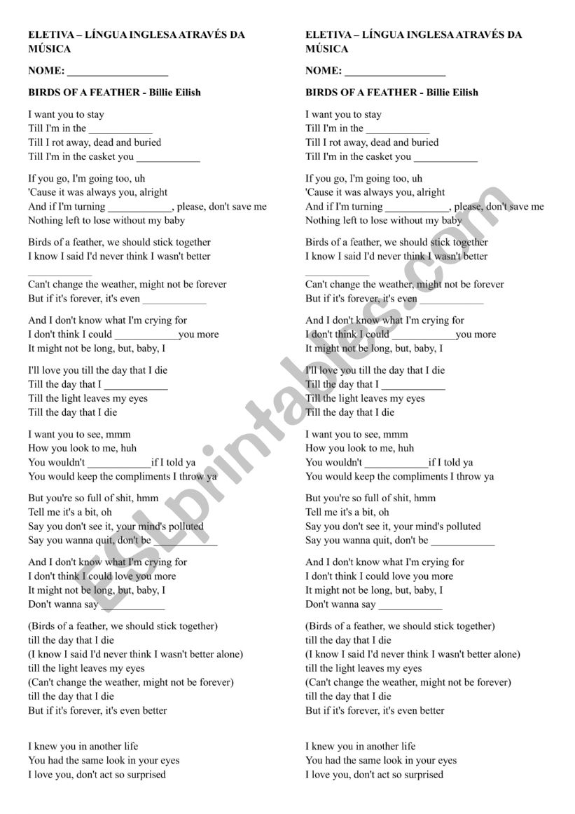 birds of feather worksheet