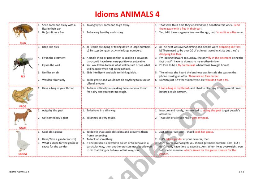 Idioms ANIMALS 4 worksheet