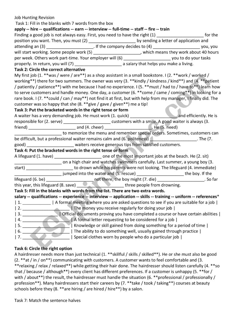 Job Hunting revision  worksheet