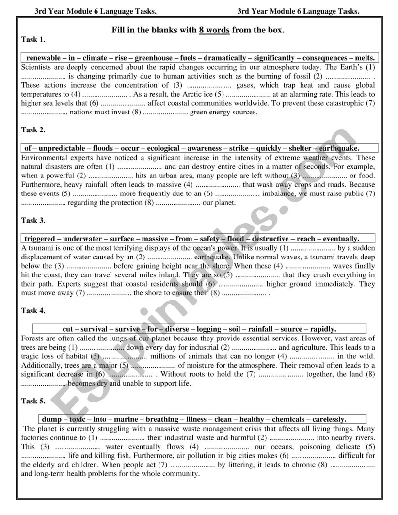 3rd Year Language tasks Module 6