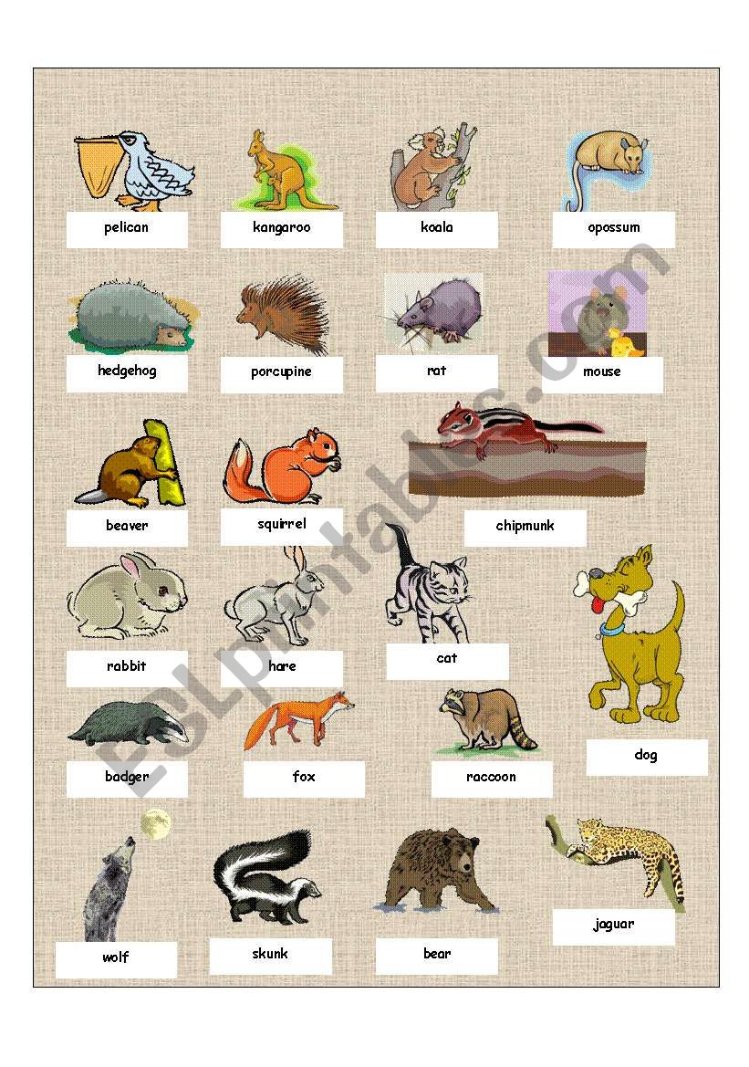 animals part 2 worksheet