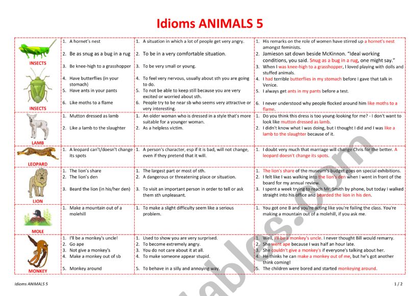 Idioms ANIMALS 5 worksheet
