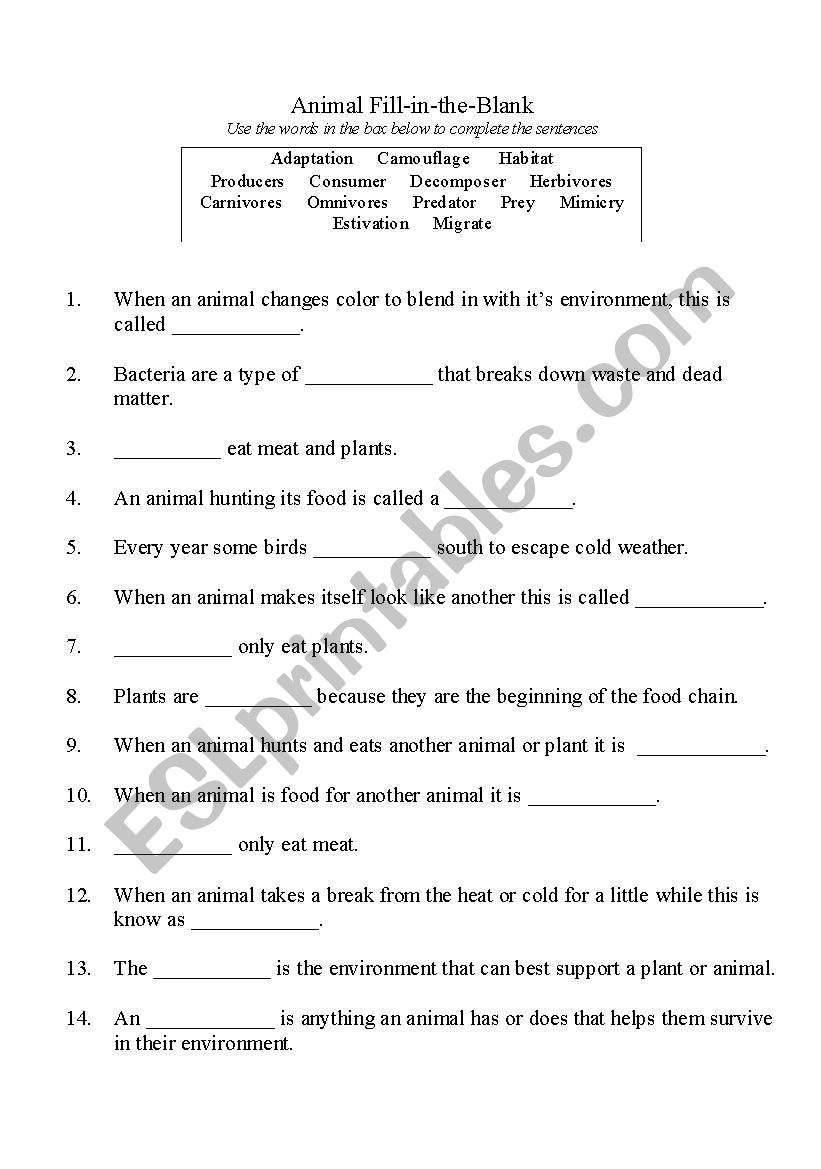 Animals and Adaptations worksheet