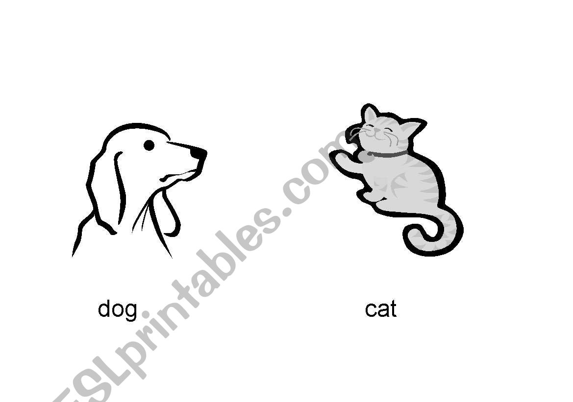 Pets worksheet