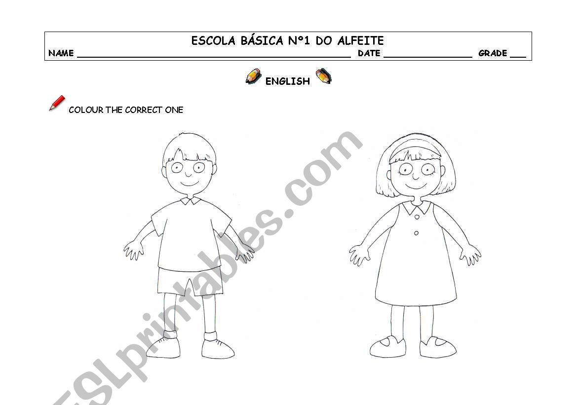 Boy / Girl worksheet