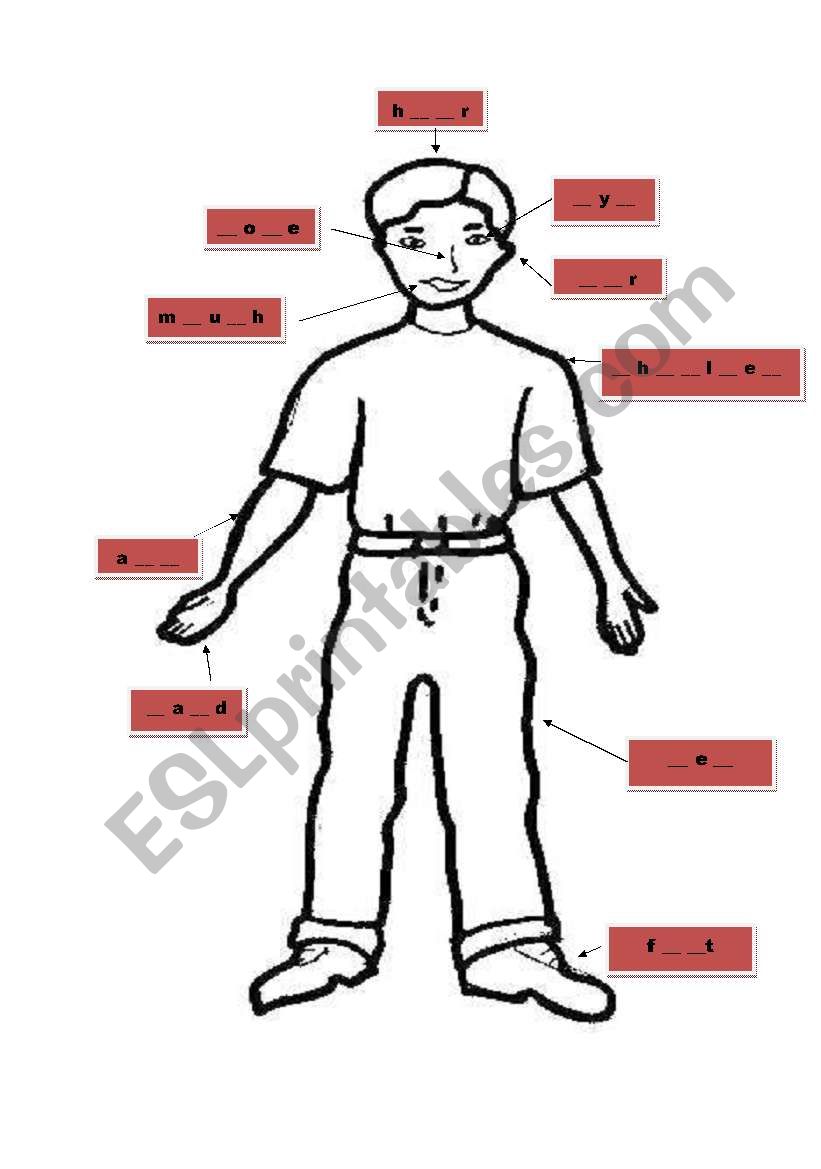 parts of the body worksheet