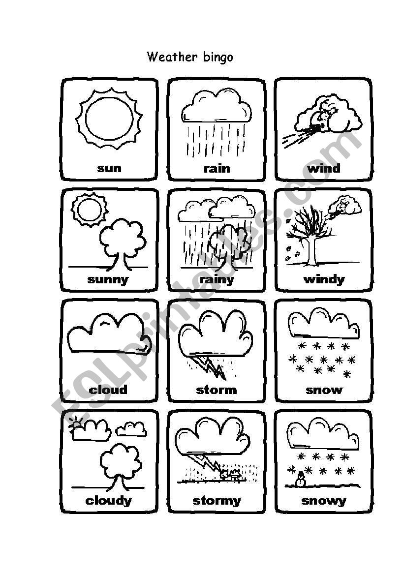 Weather Bingo worksheet