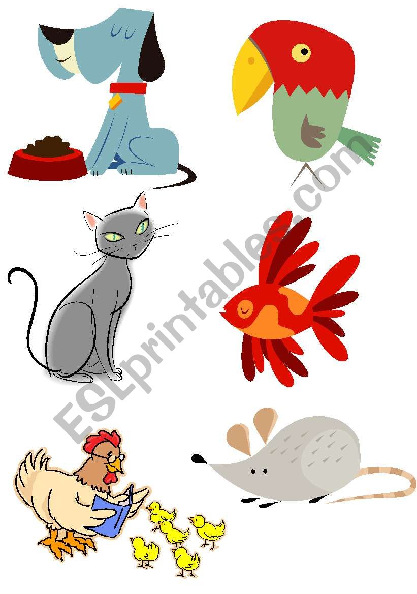 animals worksheet