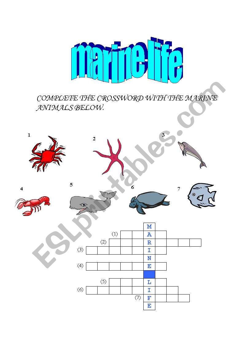 marine life crossword worksheet