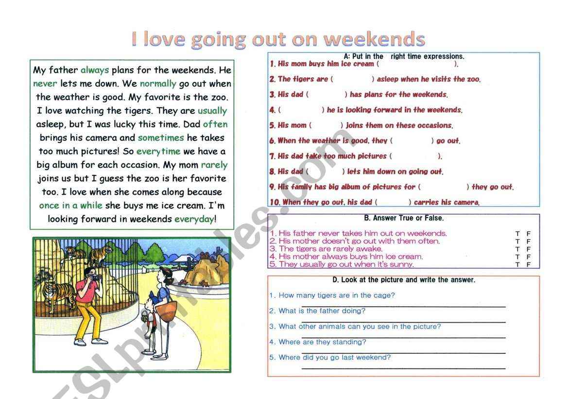 reading with time expressions worksheet