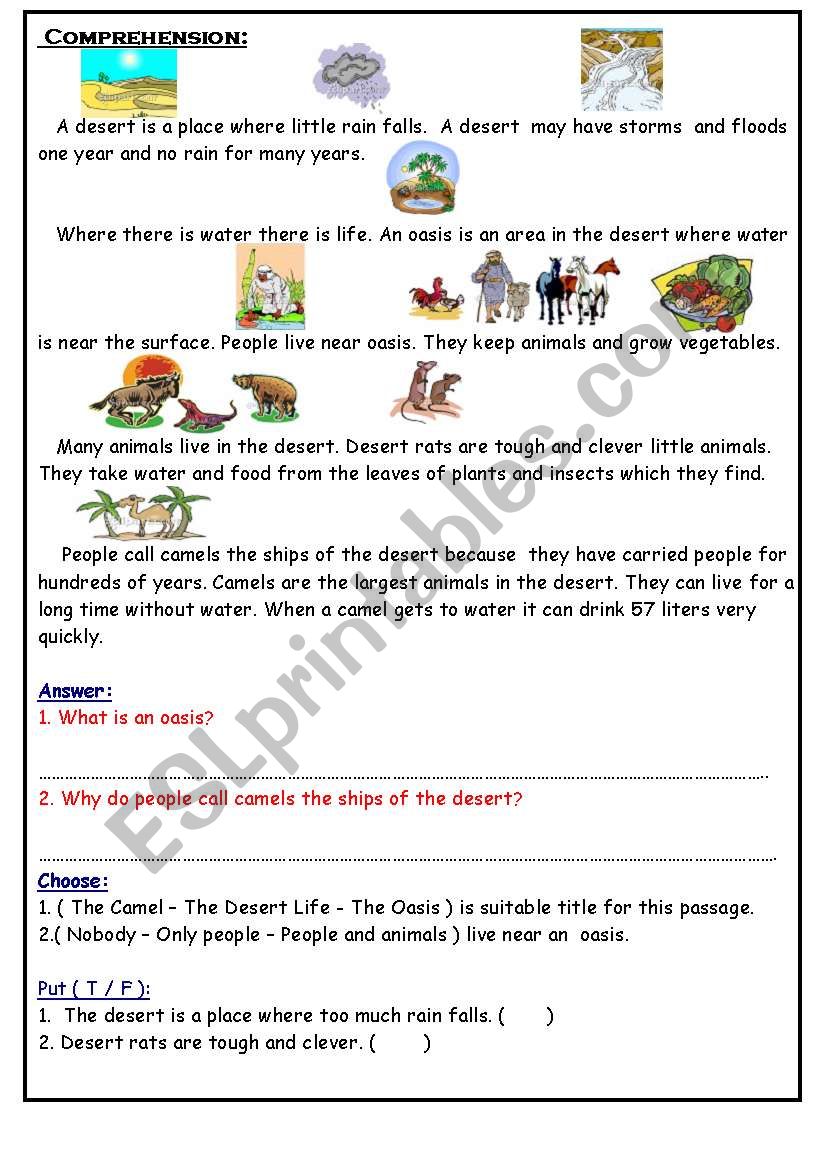 reading worksheet