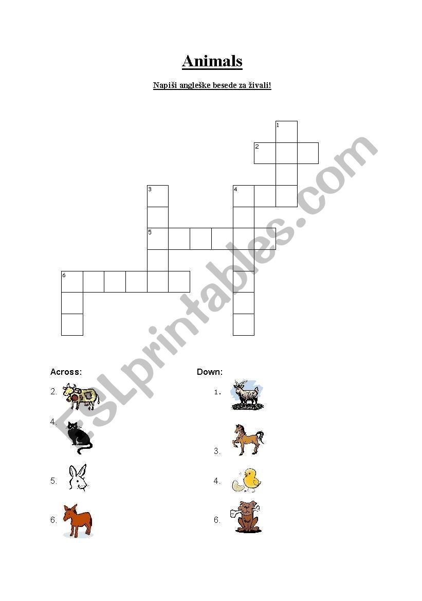 crossword puzzle - animals worksheet
