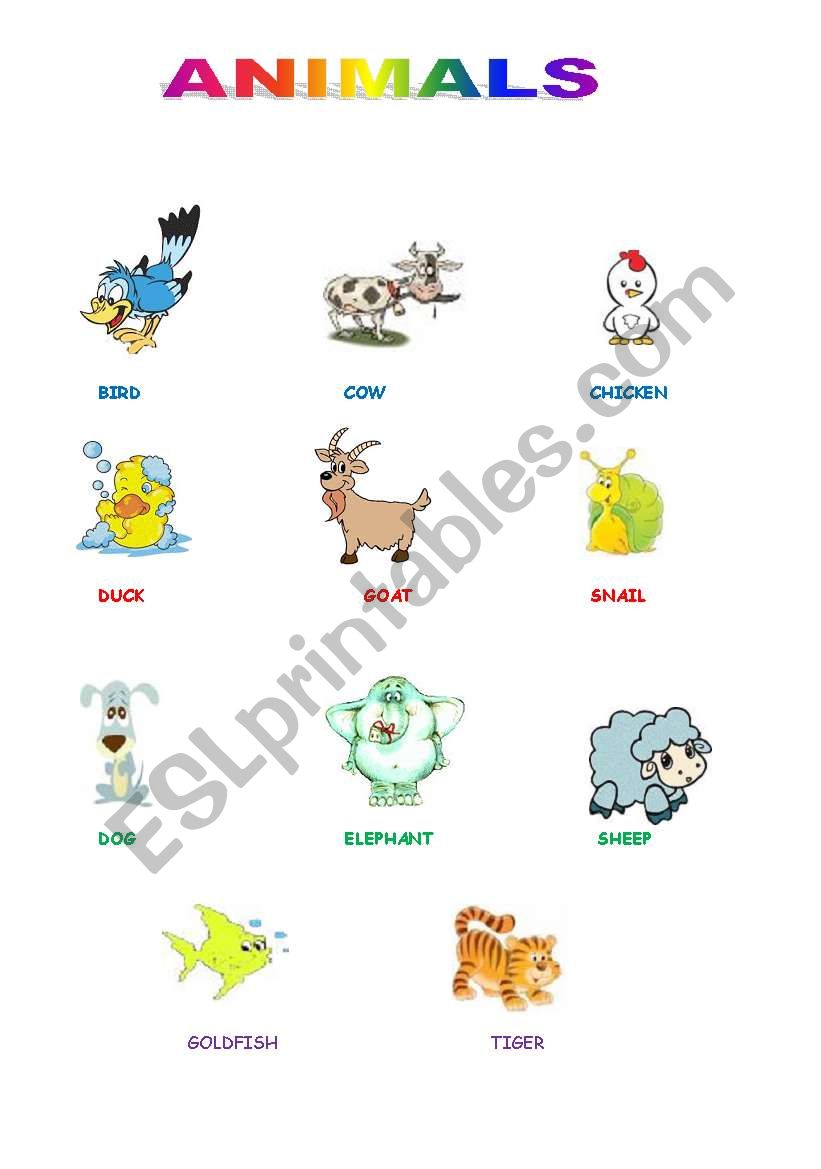 ANIMALS worksheet