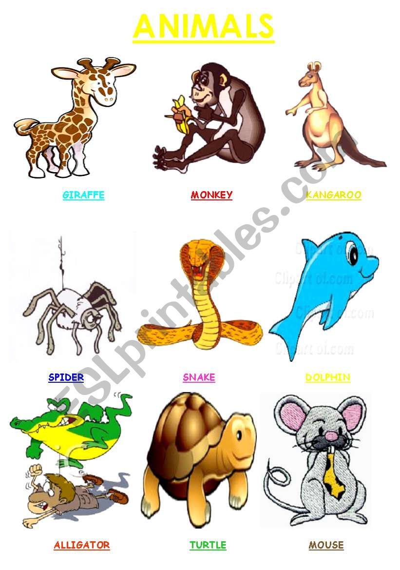 animals2 worksheet