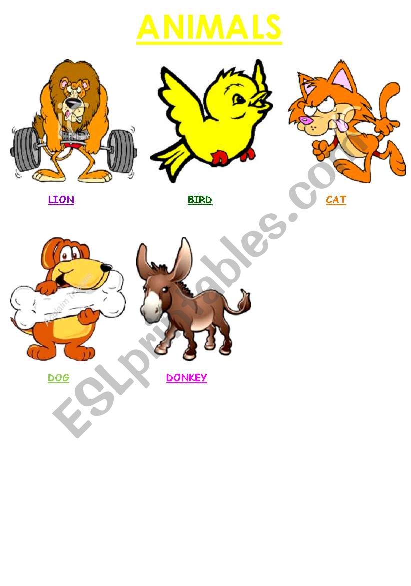 animals worksheet