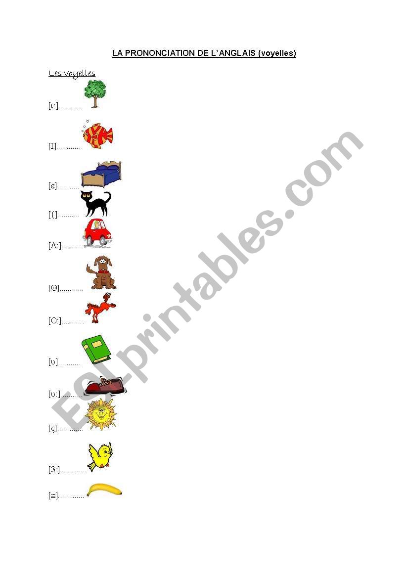 Phonetics - vowels worksheet