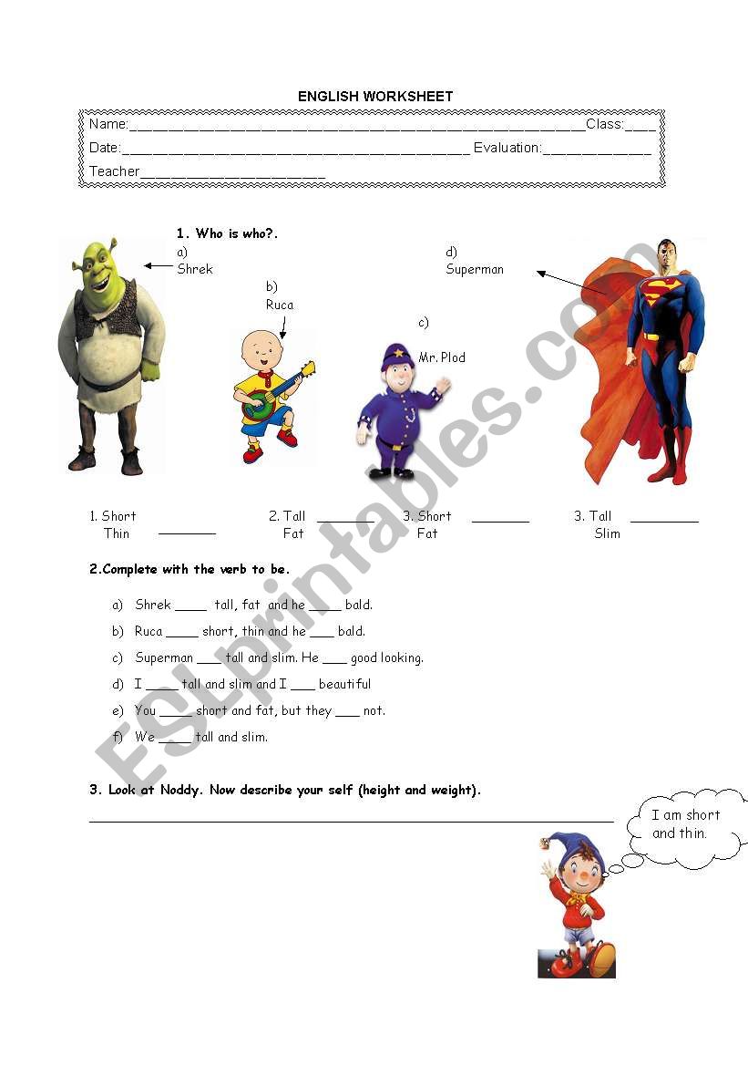 physical description worksheet