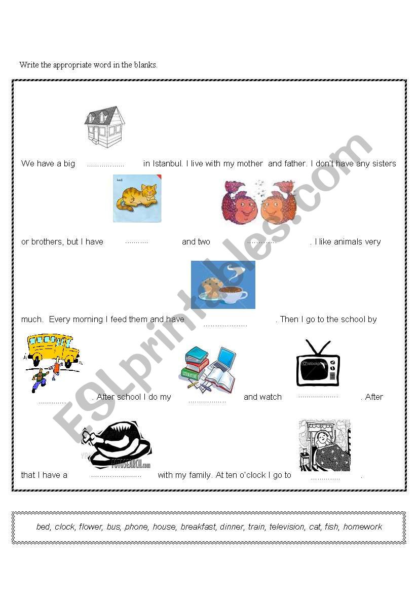 present simple tense& vocabulary revision
