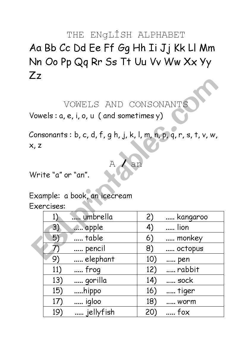 A / AN EXERCISES worksheet