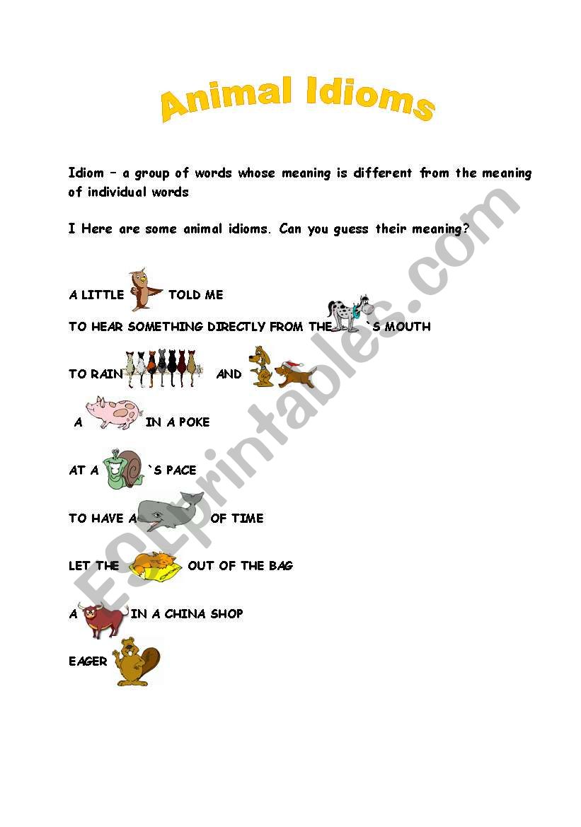 Animal Idioms worksheet