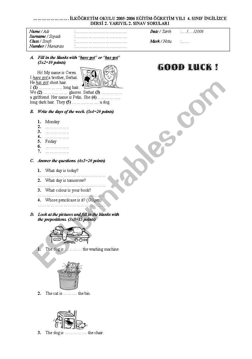 4th grade small Quiz worksheet
