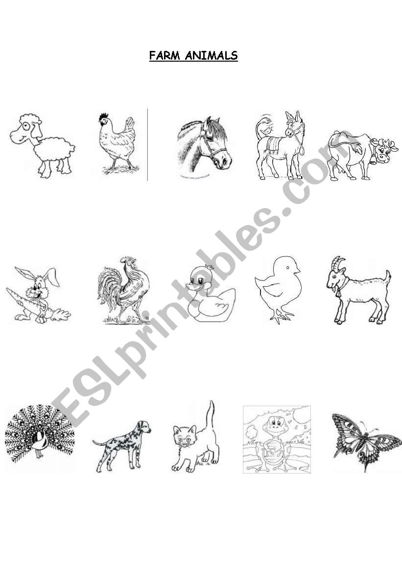 All Types of Animals worksheet
