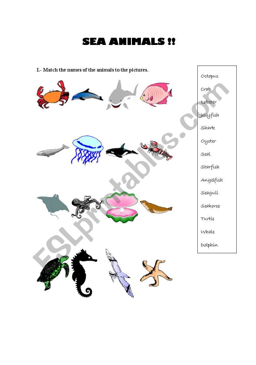 SEA ANIMALS worksheet