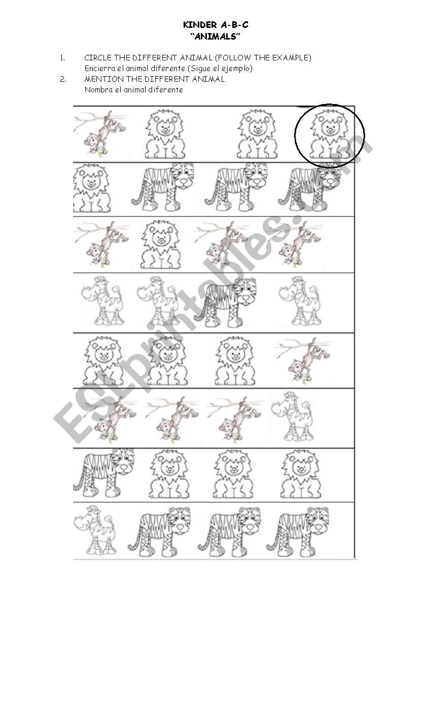 Animals worksheet