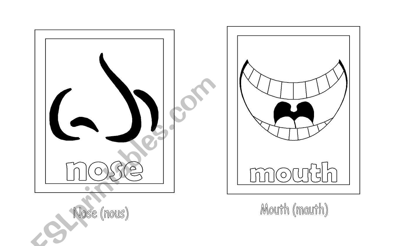 face worksheet