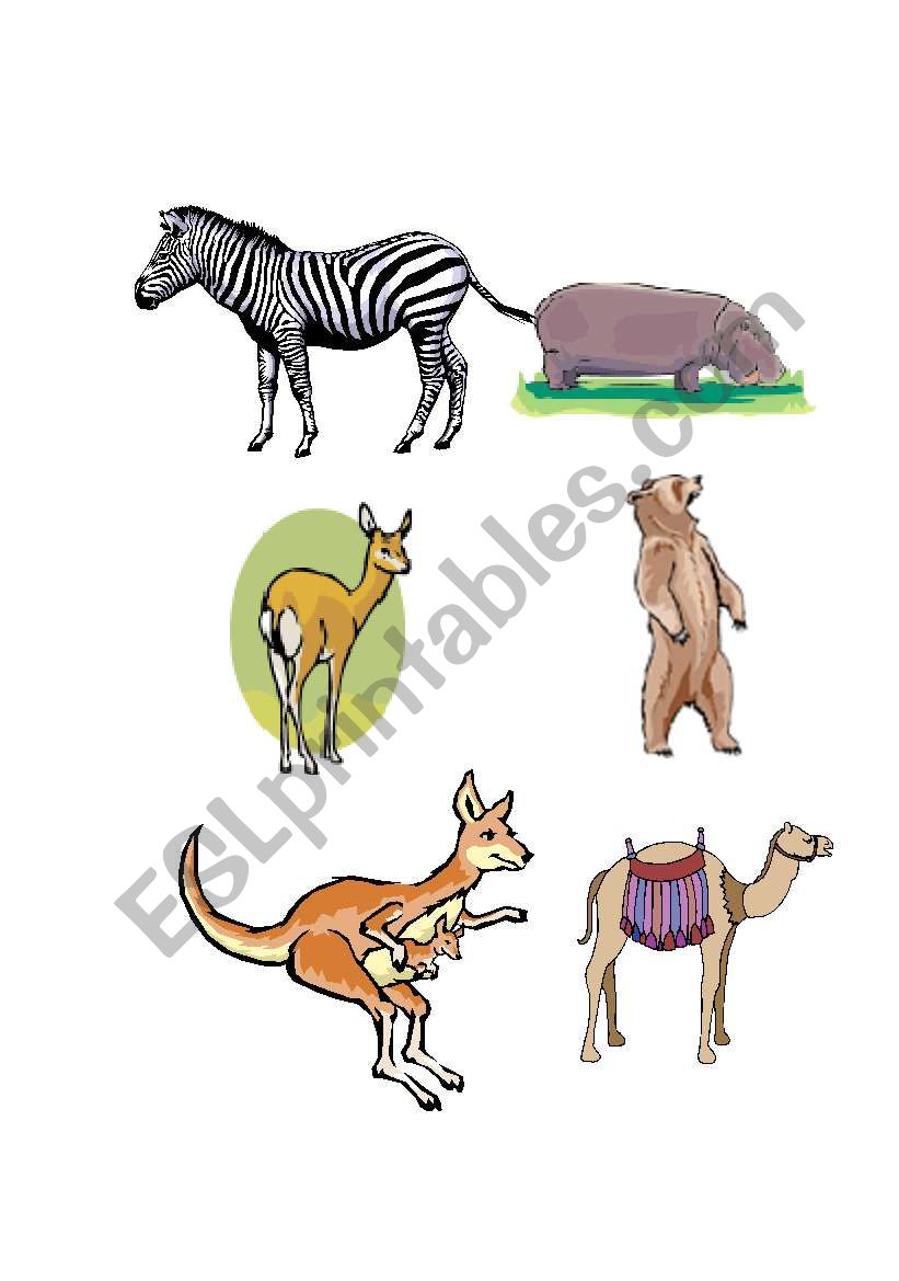 Wild Animals worksheet