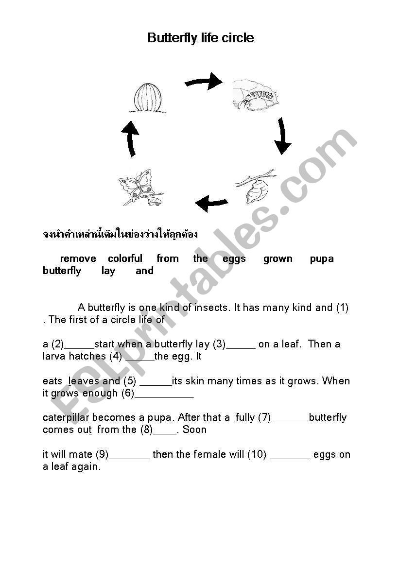 cloze test worksheet