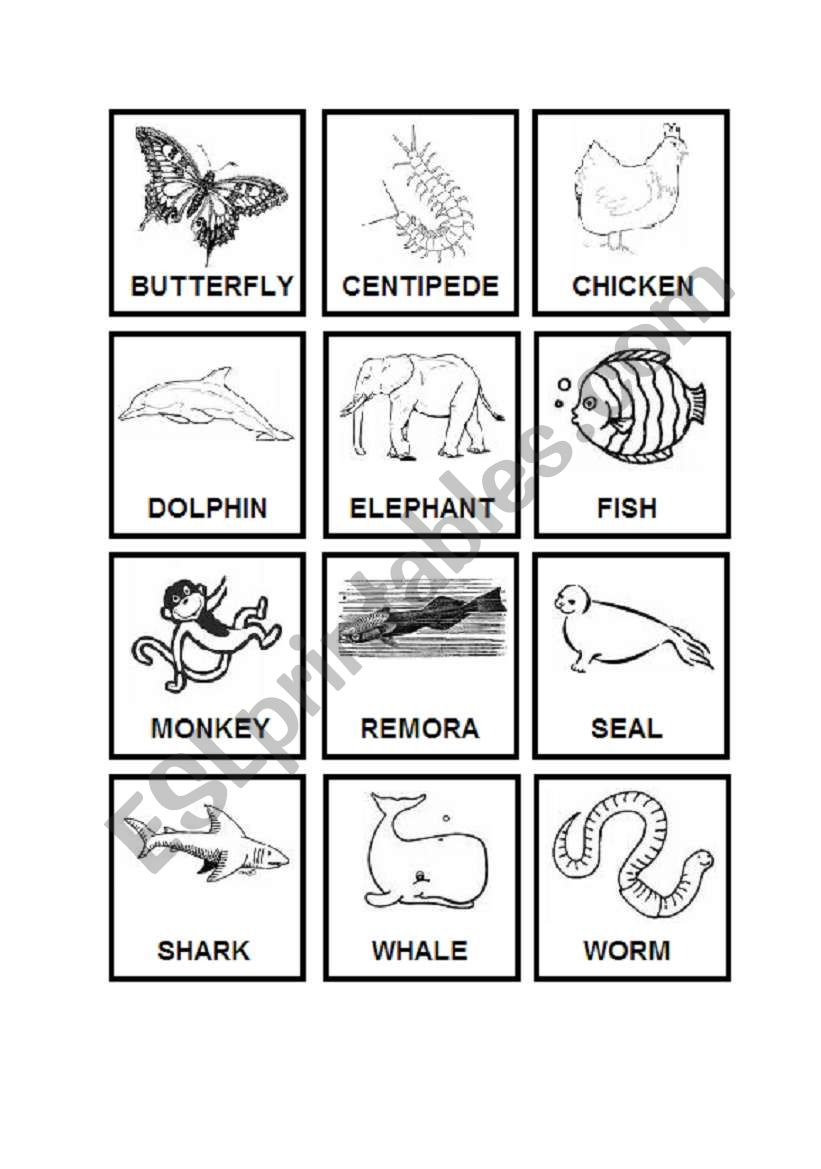 Animals Memory Game worksheet