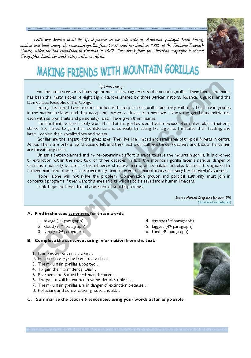 Making friends with mountain gorillas
