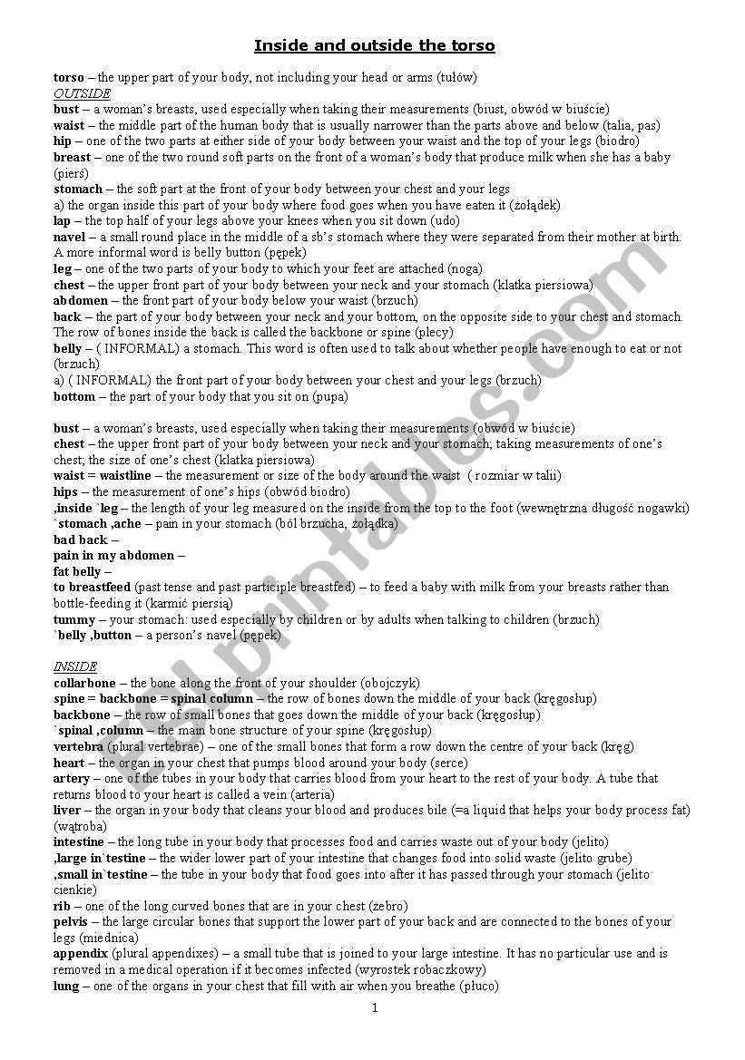 Inside and outside the torso worksheet