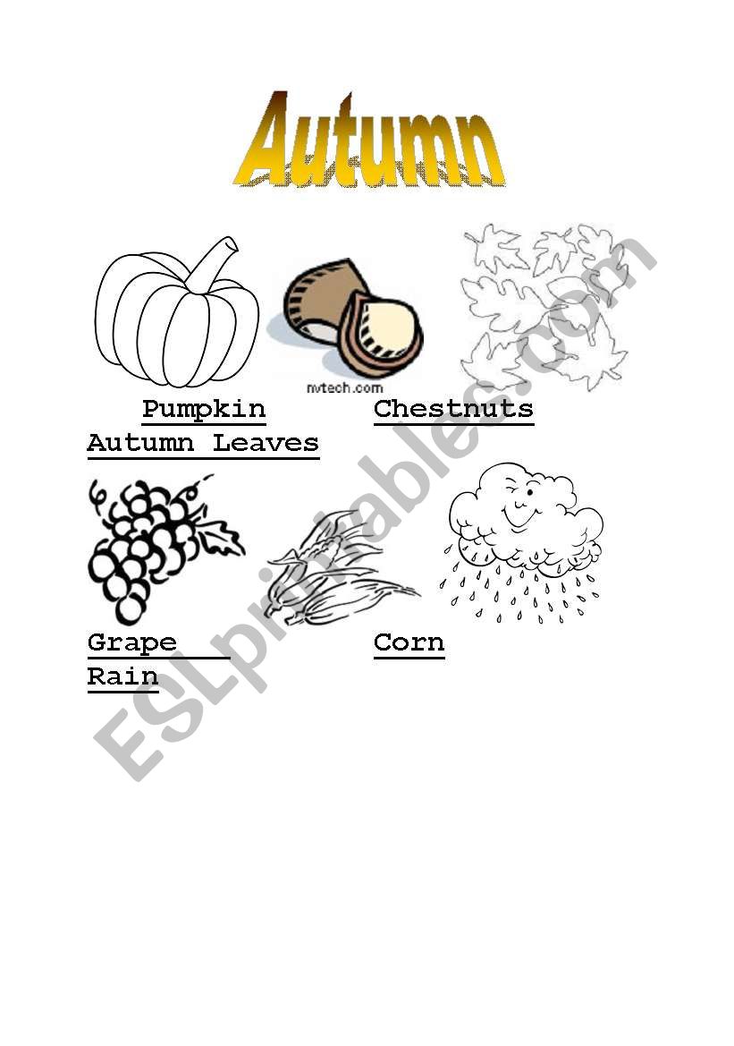 4 Seasons Coloring and vocabulary worksheet- Autumn page 