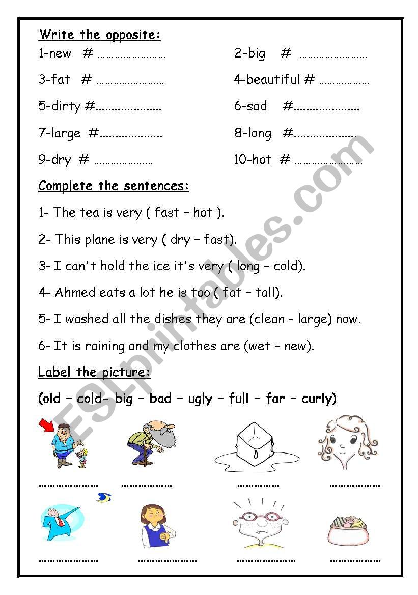 write the opposites worksheet