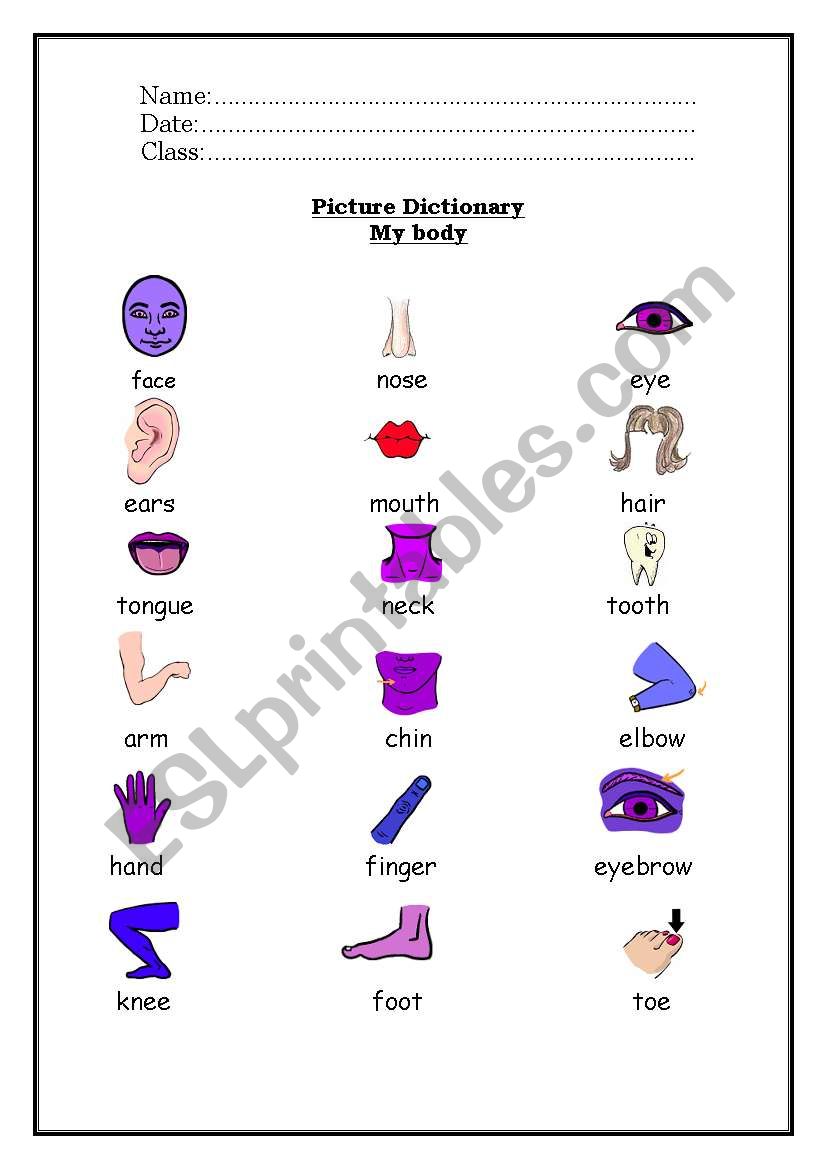picture dictionary worksheet