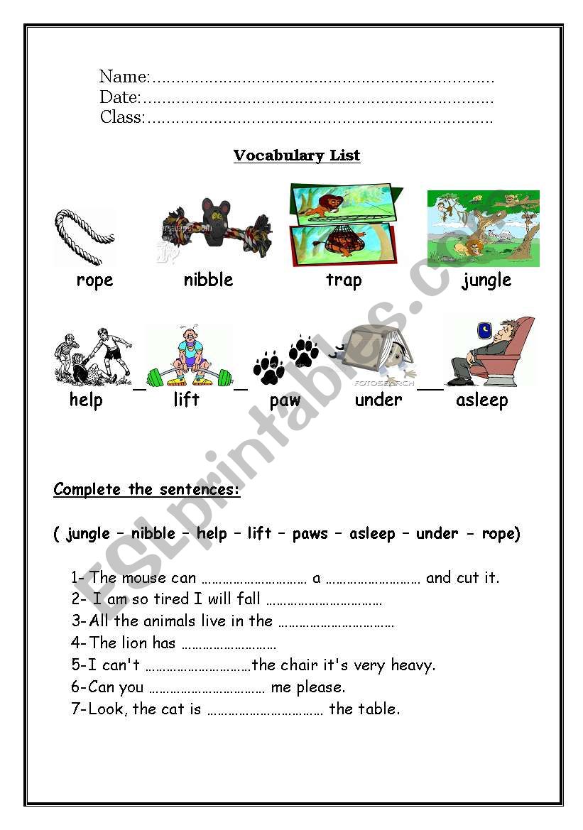 vocabulary worksheet