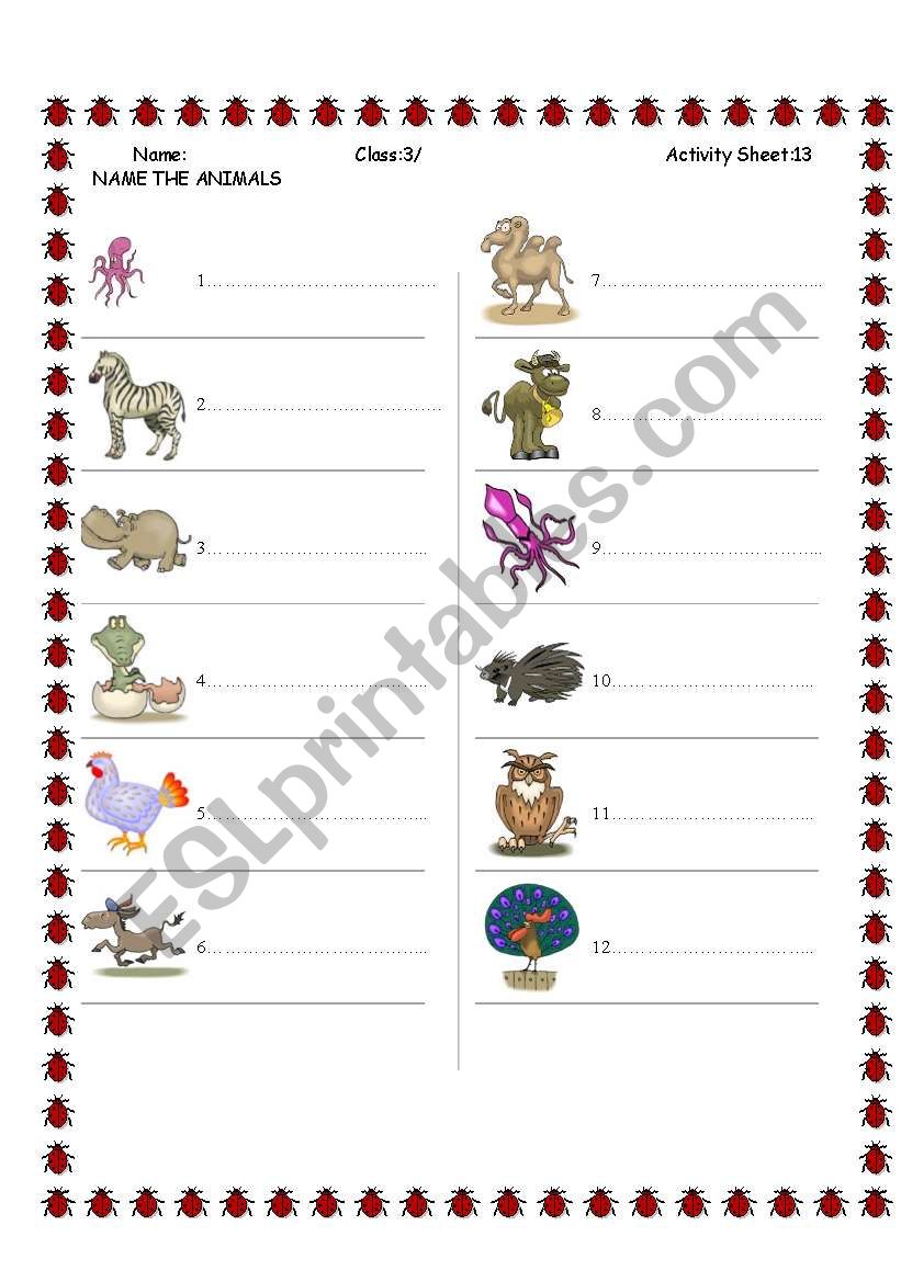 ANIMALS worksheet