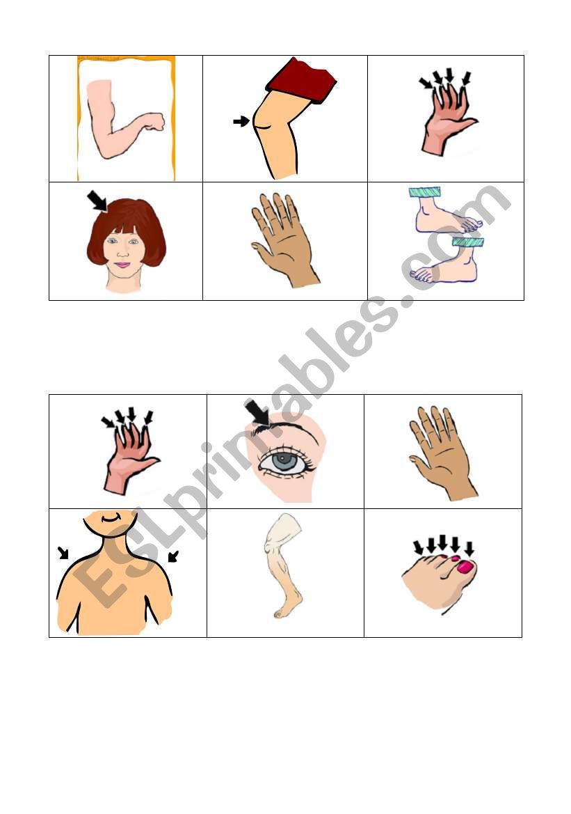 body parts bingo 1 worksheet