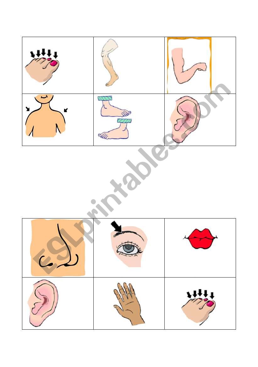 body parts bingo set 2 worksheet