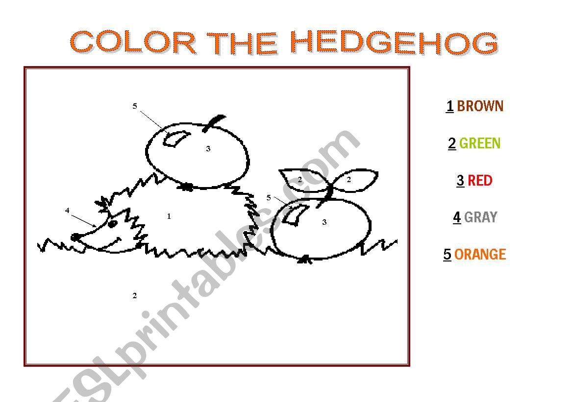 COLOR THE HEDGEHOG worksheet