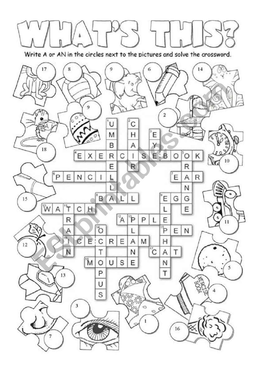 A or AN? worksheet