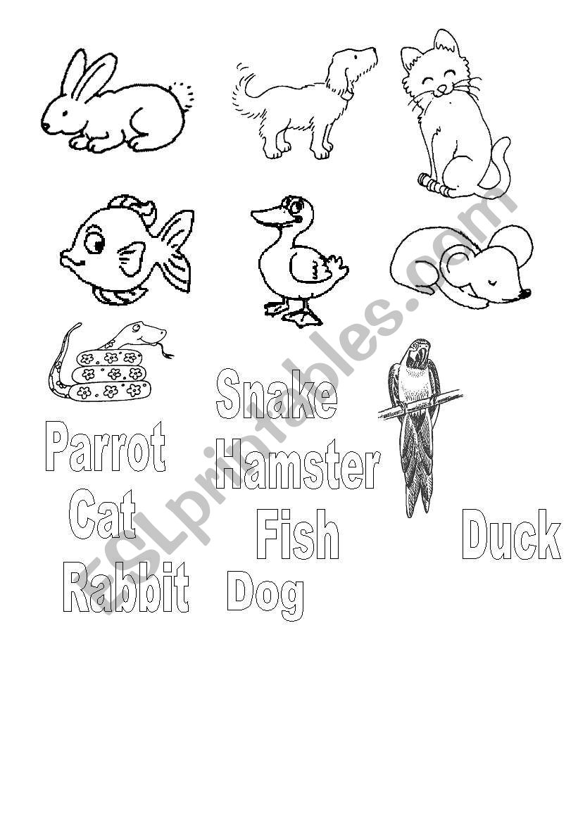 Animals-name and pictures worksheet