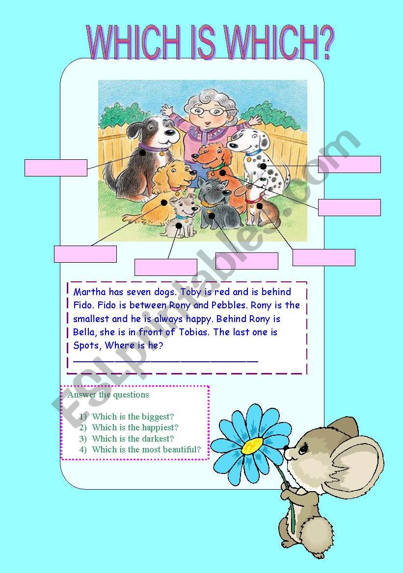Which Is Which ESL Worksheet By Demeter mar