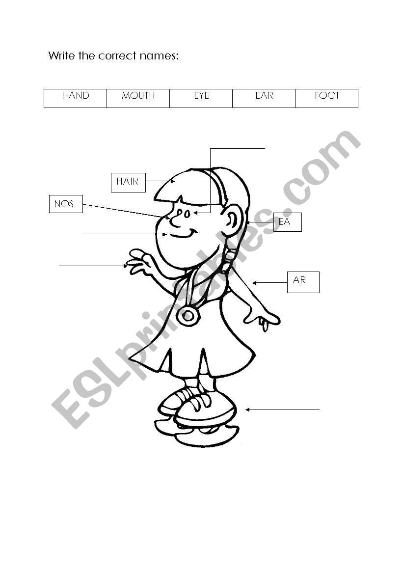 Parts of the body worksheet