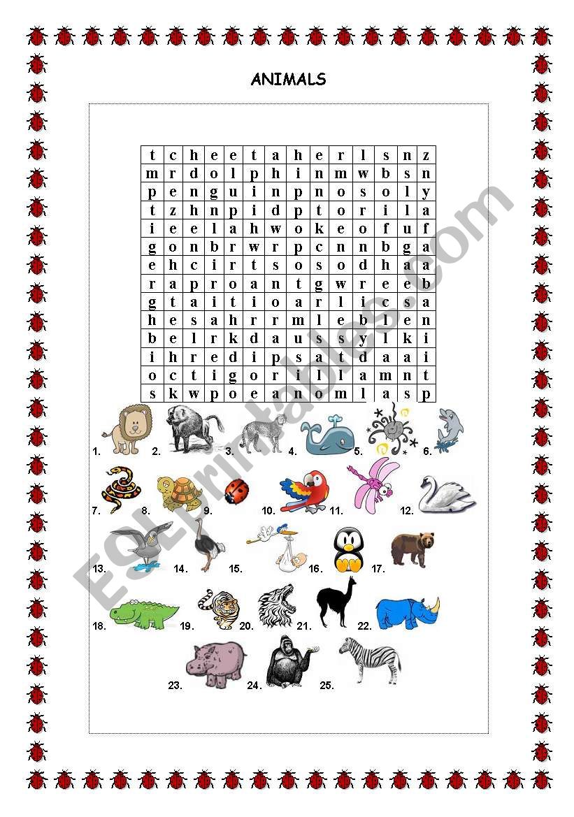 Animals worksheet