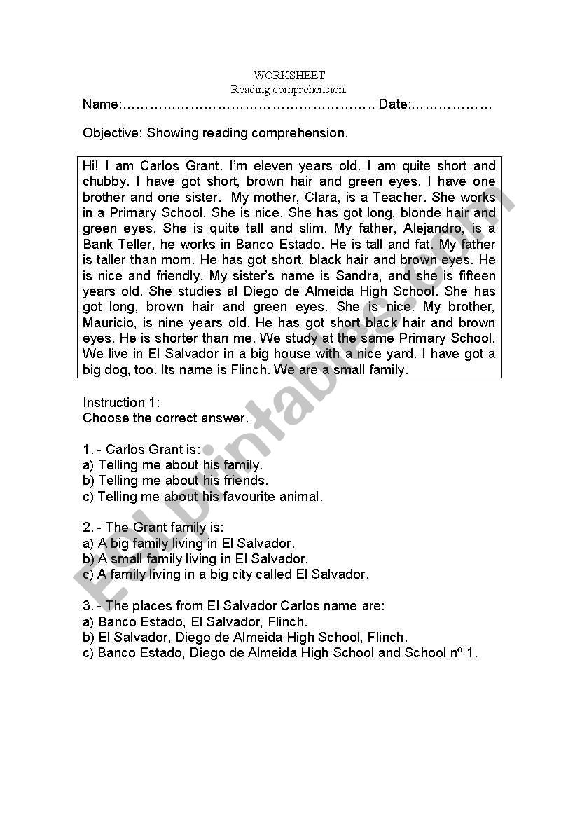 Reading Comprehension Worksheet